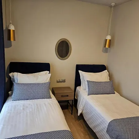 Olympus Paradise 6 سكوتينا